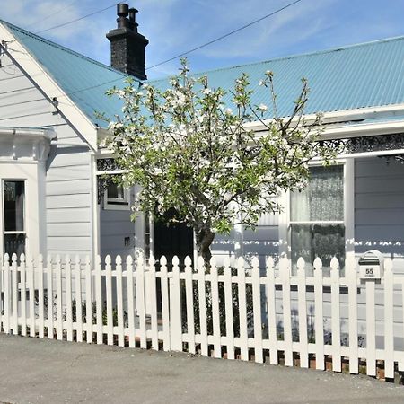 In Dunedin'S Heart, Full House, Full Sun, Full Chill, Why Stay At A Hotel When You Can Afford An Entire House Luaran gambar