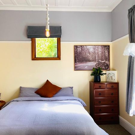 In Dunedin'S Heart, Full House, Full Sun, Full Chill, Why Stay At A Hotel When You Can Afford An Entire House Luaran gambar